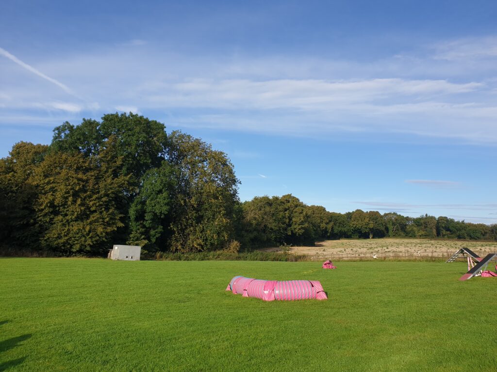 Bearse Farm field and arena for dog agility