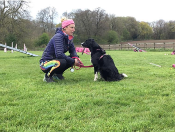 Dog agility session exploring animal parts at Bearse Farm