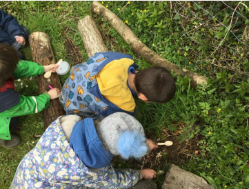 Forest School — children exploring the woodland at Bearse Farm