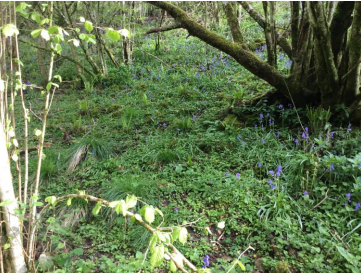 Children exploring signs of spring at Bearse Farm